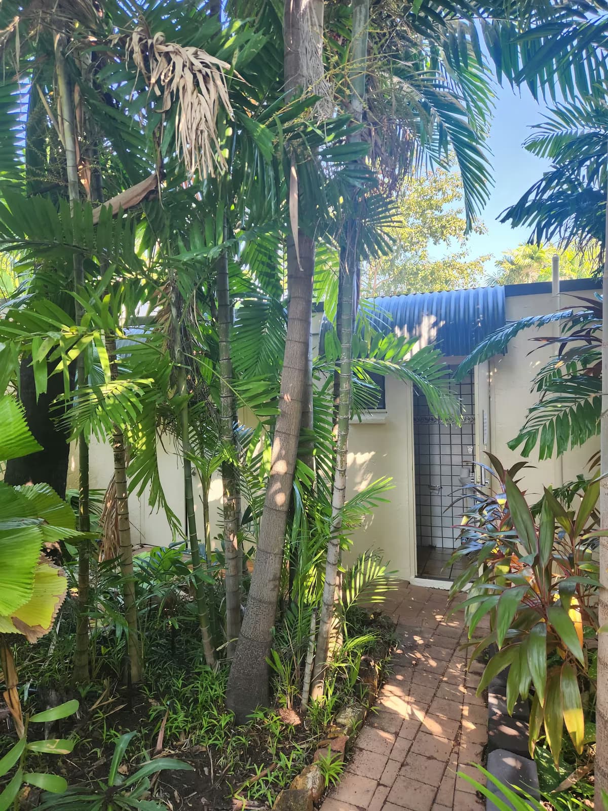 Garden Pathway Walls